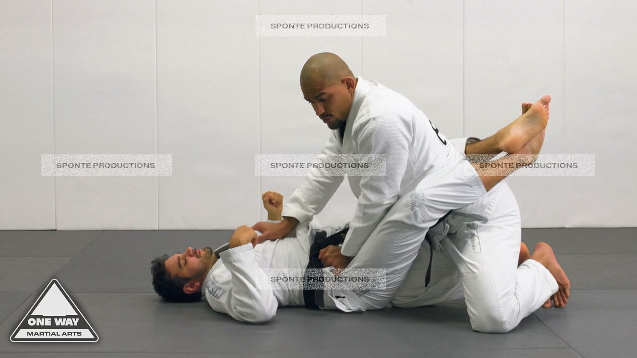 One Way Martial Arts — Beginner Techniques Course — 4