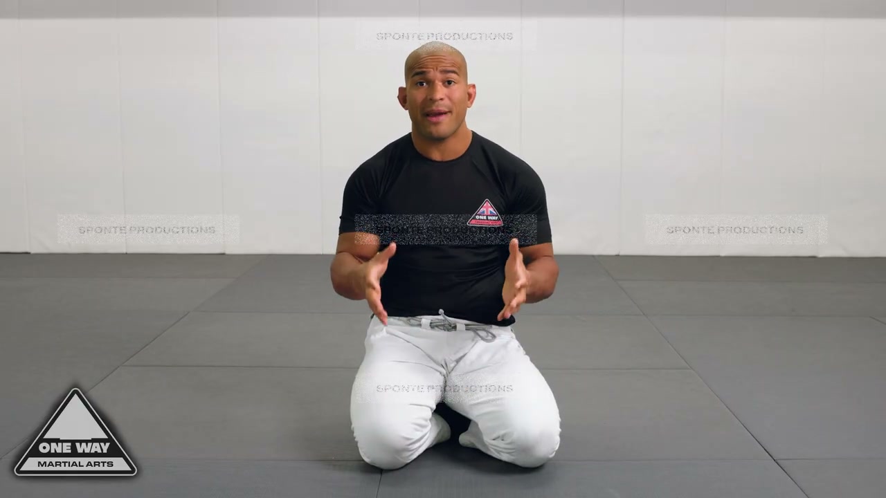 One Way Martial Arts — Beginner Techniques Course — 5